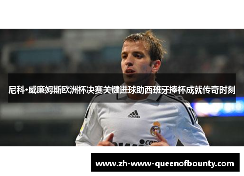 尼科·威廉姆斯欧洲杯决赛关键进球助西班牙捧杯成就传奇时刻